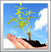 Cer&acirc;mica em Itapecuru Mirim